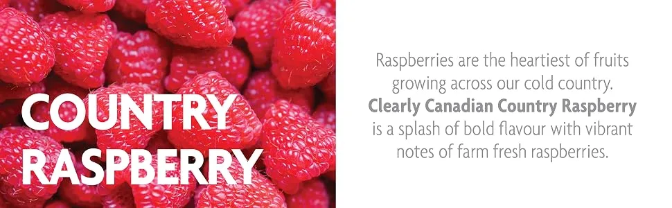 Clearly Canadian Variety Pack Sparkling Spring Water Beverage, Natural & Carbonated, Flavored Seltzer Water, Mixed Flavors, 1 Case (12 Bottles x 325mL) - clearly canadian variety pack