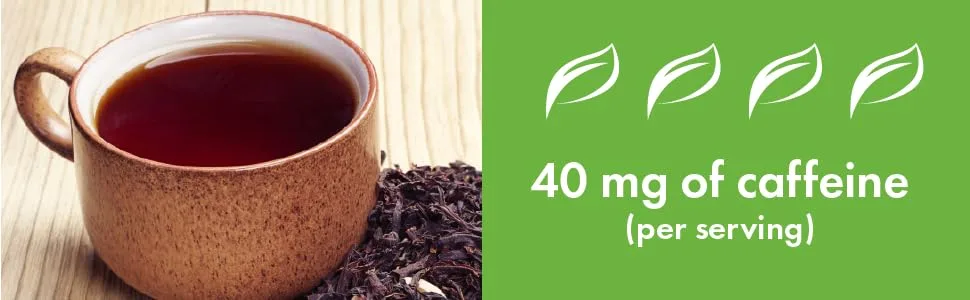 Revolution Tea - Mesh Infuser Full Leaf Tea - English Breakfast Black Tea - 20 B English Breakfast 120 Count (Pack of 1) - caffeine