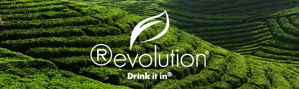 Revolution Tea - Mesh Infuser Full Leaf Tea - English Breakfast Black Tea - 20 B English Breakfast 120 Count (Pack of 1) - product information 1