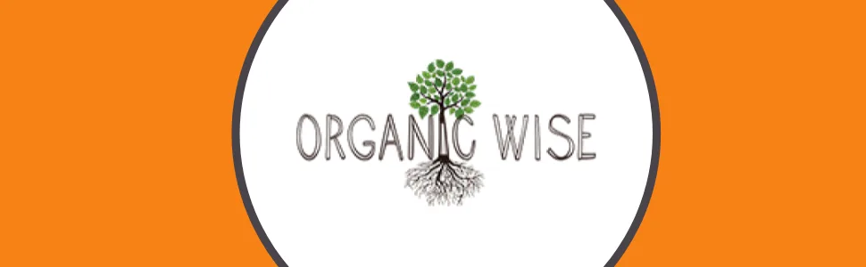 Organic Wise Ceylon Cinnamon Powder Organic, Pure Ceylon Cinnamon Spice, USDA Certified Organic, Ground Powder, 1 lb Bulk Bag, Packed in USA - organic ceylon cinnamon powder pure spice ground resealable pouch USDA 1 pound bulk bag USA natural