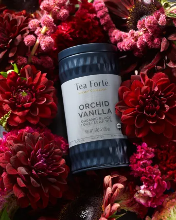 Tea Forte Presentation Box Presentation Box Tea Sampler Gift Set, 20 Assorted Variety Handcrafted Pyramid Tea Infuser Bags (Paradis) - loose leaf