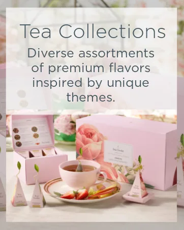 Tea Forte Presentation Box Presentation Box Tea Sampler Gift Set, 20 Assorted Variety Handcrafted Pyramid Tea Infuser Bags (Paradis) - tea herbal collections