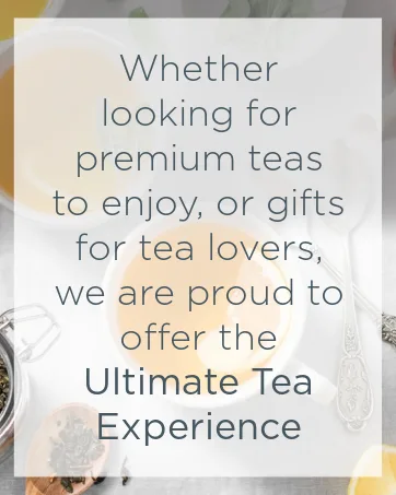 Tea Forte Presentation Box Presentation Box Tea Sampler Gift Set, 20 Assorted Variety Handcrafted Pyramid Tea Infuser Bags (Paradis) - ultimate tea experience