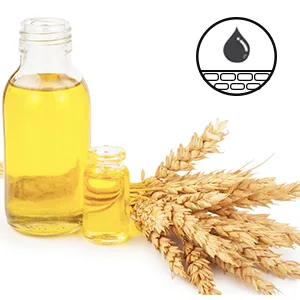 Clean + Easy Remove - After Wax Remover for the Skin with Wheat Germ Oil, Post Waxing Cleanser, 5 oz 5 Fl Oz (Pack of 1) - Clean + Easy Remove - After Wax Remover, 5 oz