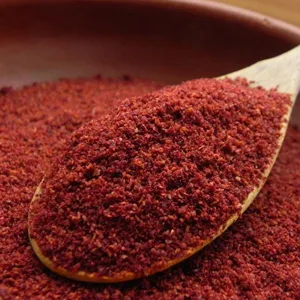 Ziyad Premium Sumac Spice Blend, Flavorful Spices, 100% All-Natural, No Additives, No Preservatives, No MSG, 12 oz - sumac,spoon,ziyad,grain