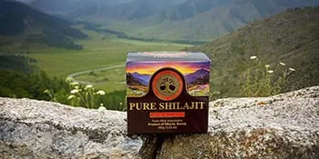 Pure Authentic Shilajit Siberian Mumijo, 100 grams, 3.5 OZ - pure shilajit
