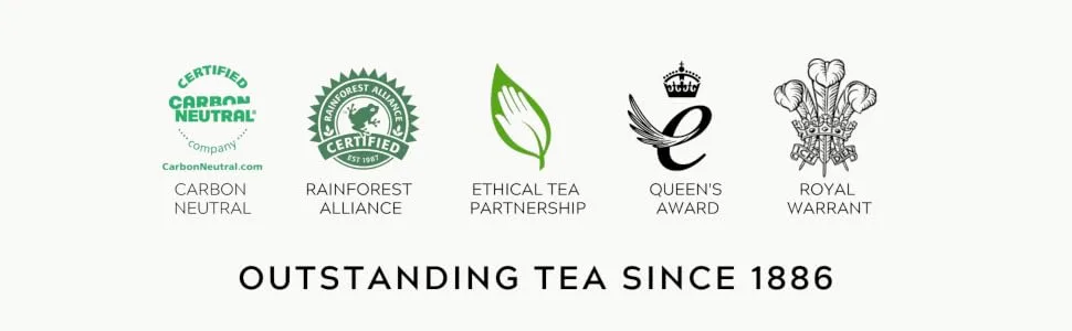 Taylors of Harrogate Lychee & Lime Green Tea, 20 Teabags 20 Teabags Lychee & Lime 20 Count (Pack of 1) - product information 14