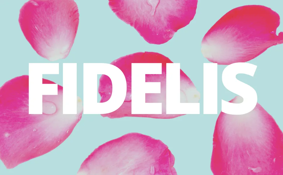 Fidelis Yoni Soap Bar (2 Pack) 3.5 Oz pH Balanced V Clean Natural Feminine Wash (Strawberry) - FIDELIS Large