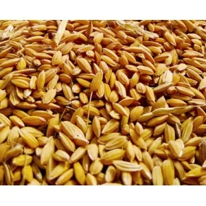 Dreamfields Spaghetti, 13.25 oz - product information 3