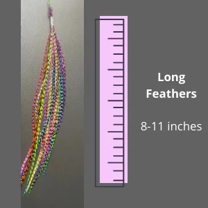 Feather Hair Extensions, 100% Real Rooster Feathers, Long Rainbow Colors (RAIN mix) - feathers long