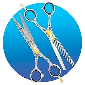 Equinox Professional Razor Edge Series - Hair Cutting and Thinning/Texturizing Scissors/Shears Set - 6.5 Inches - Stainless Steel - Set B 1