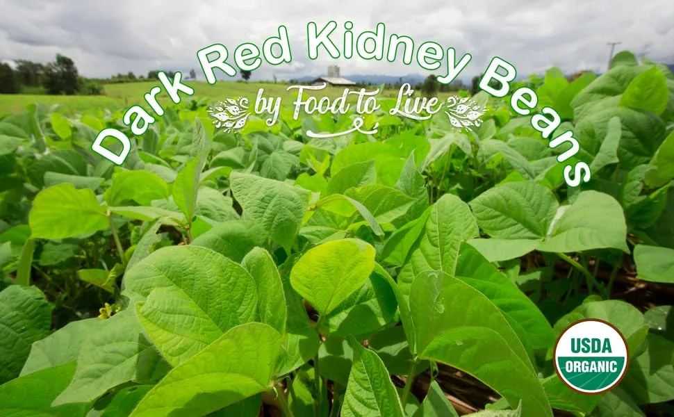 Organic Dark Red Kidney Beans, 3 Pounds - Non-GMO, Kosher, Raw, Sproutable, Vegan 3 Pound (Pack of 1) - dark red kidney beans