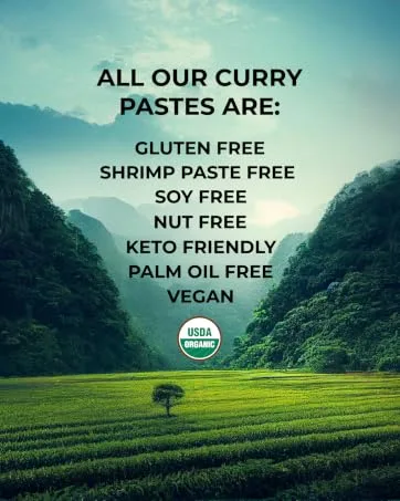 Mike's Organic Curry Love Yellow Thai Curry Paste, Made in Thailand | 1 x 2.8 oz Yellow Thai Curry Single - Organic
