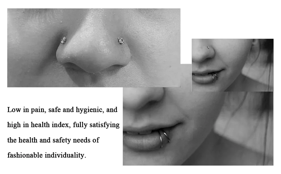 Rayyl Nose Piercing Kit 2Pcs Disposable Nose Piercing Gun built-in nose stud with 12pcs Nose Stud Ring Nose Piercing Kit for Piercing Supplies Piercing Kit 18 Piece Set - nose piercing gun nose piercing kit nose stud nose ring piercing gun piercing kit piercing supplies