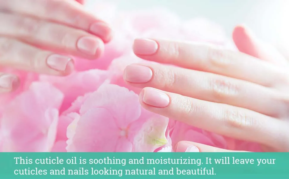 Maccibelle Cuticle Oil 0.5 oz for Dry Cracked Cuticles (Pineapple 8oz) - sdgsdf