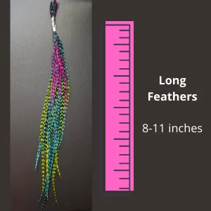 Tie Dye Feather Hair Extensions, 100% Real Rooster Feathers, 20 Long Thin Loose Individual Feathers, By Feather Lily - 100% Real Salon Quality Feathers