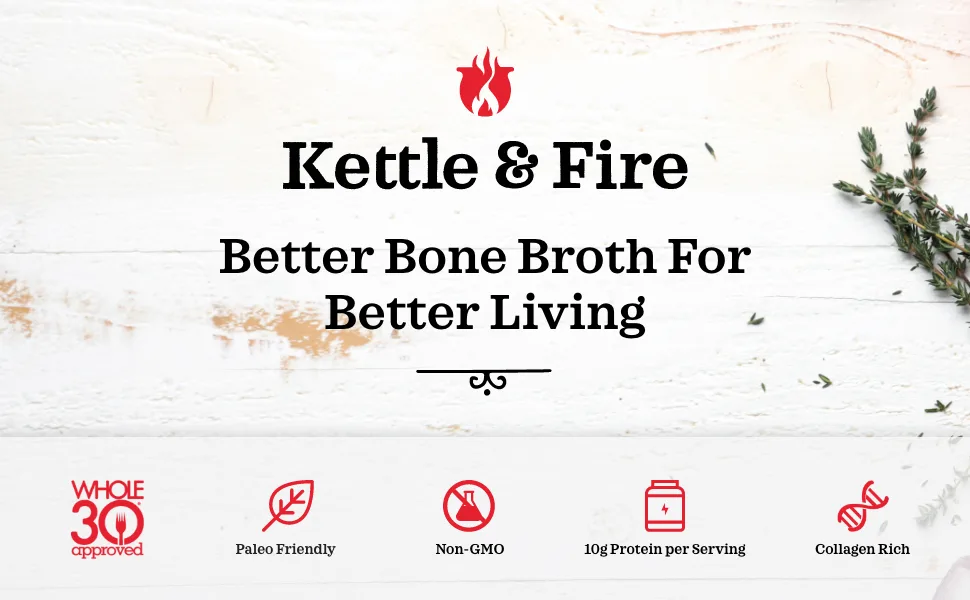 Kettle & Fire Chipotle Beef Bone Broth, 16.9 OZ 1.05 Pound (Pack of 1) - kettle and fire bone broth organic soup