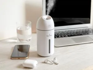 Hey Dewy Wireless, Rechargeable, Self-Care, Skin-Nourishing, Hydrating, Portable Cool Mist Humidifier (Blush) - pearl hey dewy while working