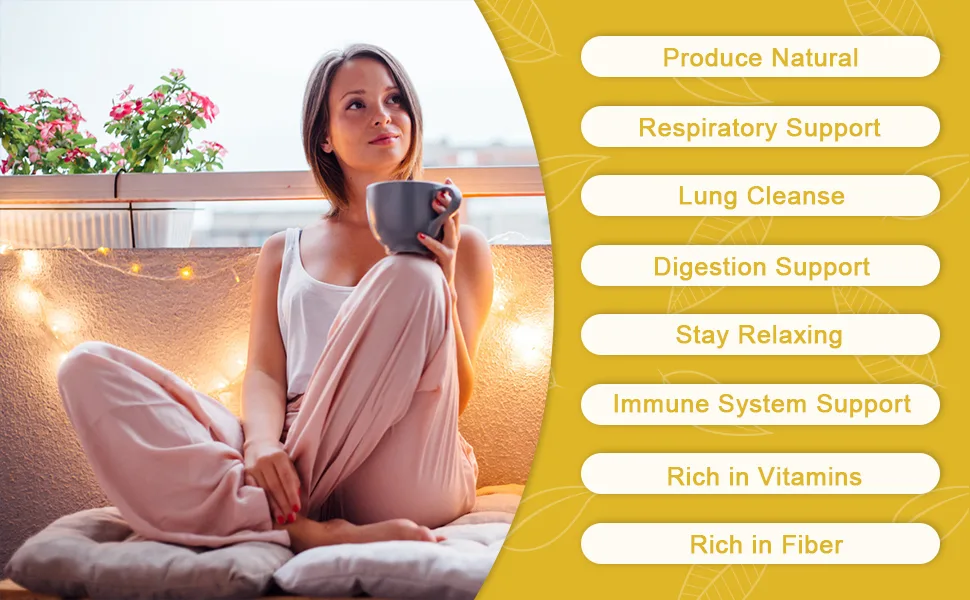 Organic Mullein Leaf Herbal Tea for Respiratory Support, Lung Cleanse & Detox and Immune Support - No Caffeine, Non-GMO - 40 Tea Bags Mullein Leaf Tea - herbal tea support