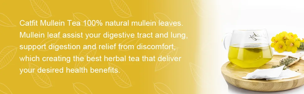 Organic Mullein Leaf Herbal Tea for Respiratory Support, Lung Cleanse & Detox and Immune Support - No Caffeine, Non-GMO - 40 Tea Bags Mullein Leaf Tea - organic mullein leaf tea bag