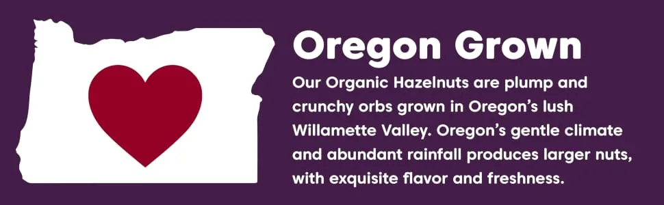 Wilderness Poets, Oregon Hazelnuts - Organic, Raw, Whole Nuts with Skins, No Shells, Bulk Size (32 Ounce - 2 Pound) 2 Pound (Pack of 1) - hazelnuts organic Oregon grown superfood wilderness poets