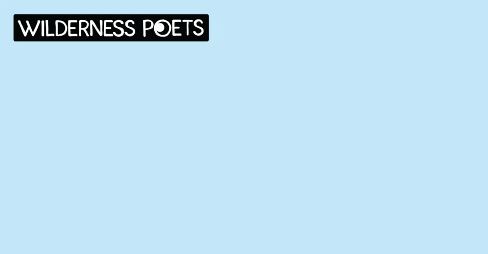 Wilderness Poets, Oregon Hazelnuts - Organic, Raw, Whole Nuts with Skins, No Shells, Bulk Size (32 Ounce - 2 Pound) 2 Pound (Pack of 1) - wilderness poets