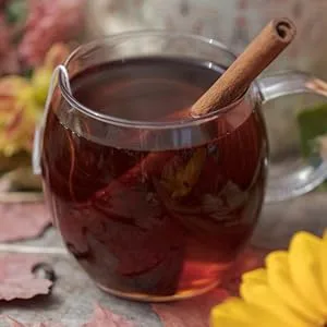 Harney & Sons Pumpkin Spice Tea, Caffeine Free Rooibos Blend, 20 sachets (Pack of 4) - Brewed Pumpkin Spice Tea
