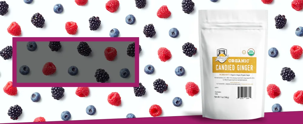 Fermentaholics - Element Kombucha Tea Blends | USDA Certified Organic Kombucha Tea Blend | Kosher Certified (Air Blend) - live raw vinager bouch cabocha combu uplift kobuchi kanbuca steaper seeds airlock kambicha orhanic