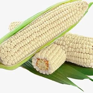Mahindi Kenyan Whole White Corn - White corn