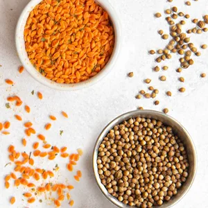 Tolerant Foods Organic Alphaland Chickpea, 8 OZ - Made with Simple Ingredients