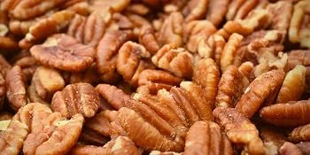 Pecan Shop Unsalted Sprouted Raw Texas Native Pecans, Unsprayed Wild-harvested, Family Recipe Crispy by Pecan Shop - 2 Pound Unsalted 2 Pound - Pecan Shop Unsalted Sprouted Raw Texas Native Pecans