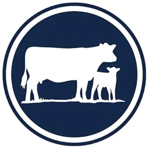 La Colombe Hazelnut Draft Latte - 9 Fluid Ounce, 12 Count - Cold-Pressed Espresso And Frothed Milk + Hazelnut - Grab And Go Coffee - Vanilla, Mocha, Triple, Latte, Coconut, Milk, Lactose, Dairy, Free, Caramel, Espresso, Froth, Nitro