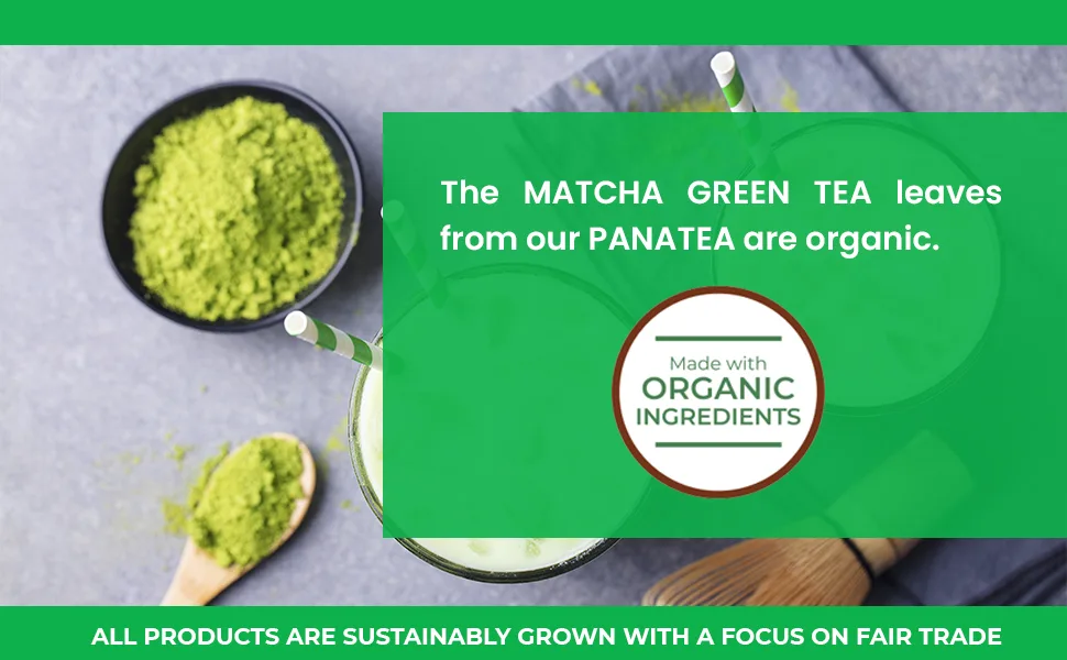 PANATEA Certified Organic Matcha Green Tea Powder | 1 LB 100% Pure Premium Culinary Grade Matcha | Lattes, Smoothies, Baking |16 Oz Tin - Matcha, Green Tea, Panata