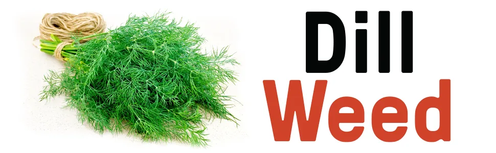 Dill Weed By Unpretentious Baker, 1 Cup, Light Anise Taste, Garnish - product information 1