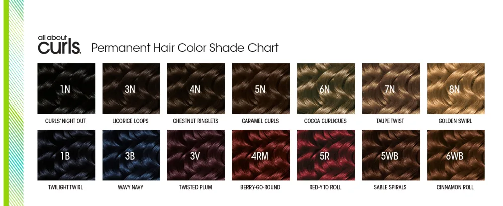All About Curls 20 Volume Creme Developer | For Hair Coloring & Long Lasting Color | All Curly Hair Types - All About Curls Brunette Color Shades