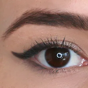 The Arc Brush | Dual Ended | C Shape and Angled Brush| Expert Easy Application | Cruelty-Free - finished look using the arc brush