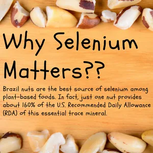THE AMISH ECO-FARM | Medium Brazil Nuts | Raw and Fresh | Vegan and Keto Friendly | Resealable 2 Lbs bag. - Why Selemium Matters