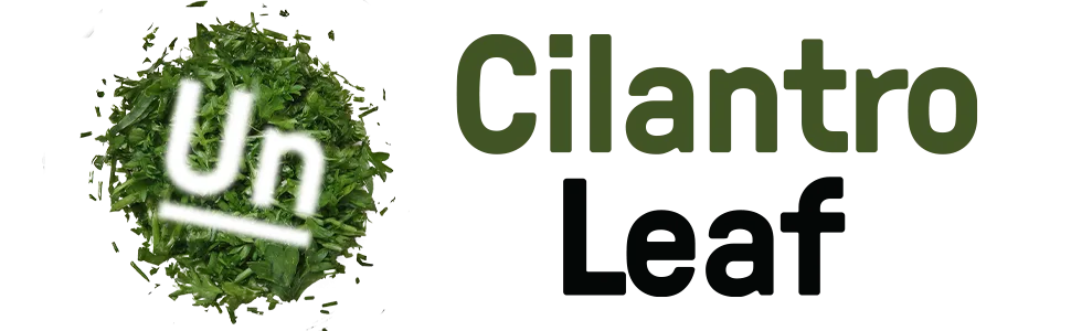 Cilantro Leaf By Unpretentious Baker, 8 oz, Fragrant, Non GMO, Great in Salsa 8 Ounce - product information 1