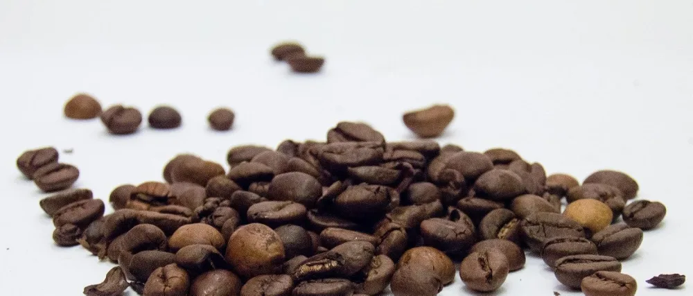 2 LBs Unroasted Green Coffee Beans from Costa Rica - 100% Arabica Beans - by Liquid Gold Coffee- Single Source Coffee - liquid gold coffee
