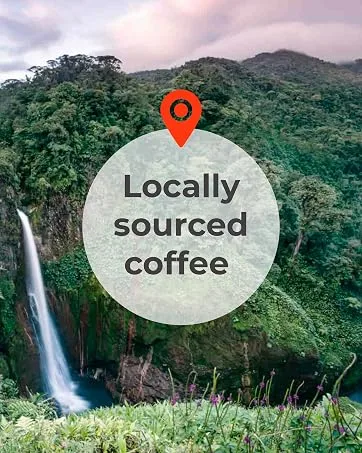 2 LBs Unroasted Green Coffee Beans from Costa Rica - 100% Arabica Beans - by Liquid Gold Coffee- Single Source Coffee - locally sourced coffee