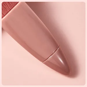 Golbylicc Travel Size Makeup Brushes Set Mini Makeup Brushes, Small Complete Function Cosmetic Brushes Kit with Case and Mirror Perfect for On The Go, 5PC (Mini Pink) Mini, Pink - shiny smooth surface handle