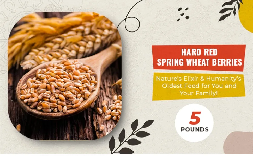 Hard Red Spring Wheat Berries, Non-GMO, Kosher, Raw, Bulk Seeds, Product of the USA (5 lbs) - hard red spring wheat berries