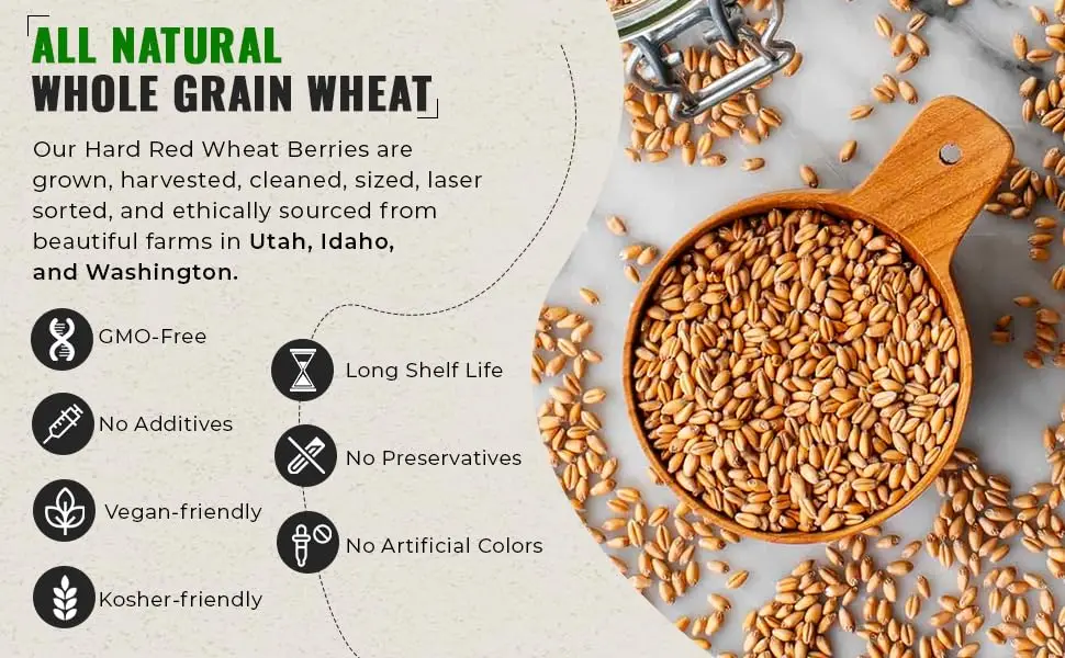 Hard Red Spring Wheat Berries, Non-GMO, Kosher, Raw, Bulk Seeds, Product of the USA (5 lbs) - hard red spring wheat berries
