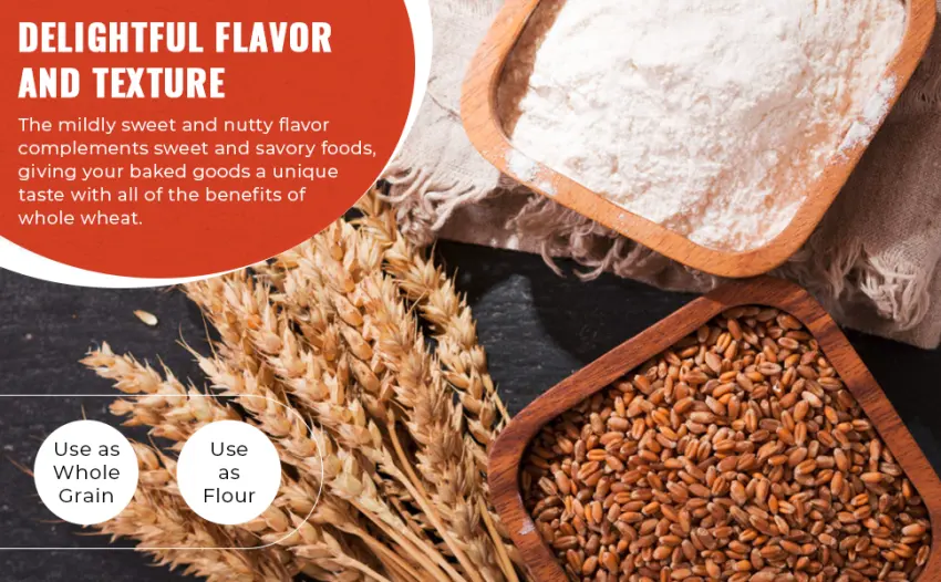 Hard Red Spring Wheat Berries, Non-GMO, Kosher, Raw, Bulk Seeds, Product of the USA (5 lbs) - hard red spring wheat berries