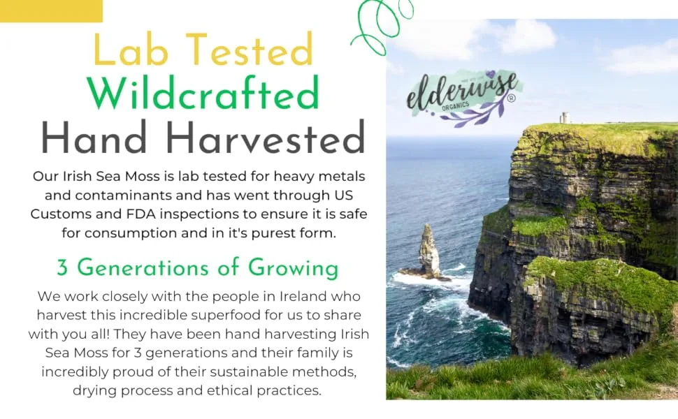 IRISH Sea Moss from Ireland | WILDCRAFTED | Chondrus Crispus | Raw Irish Moss | Golden - Lab tested