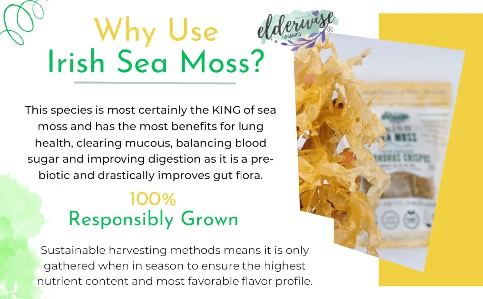 IRISH Sea Moss from Ireland | WILDCRAFTED | Chondrus Crispus | Raw Irish Moss | Golden - Why use Irish moss