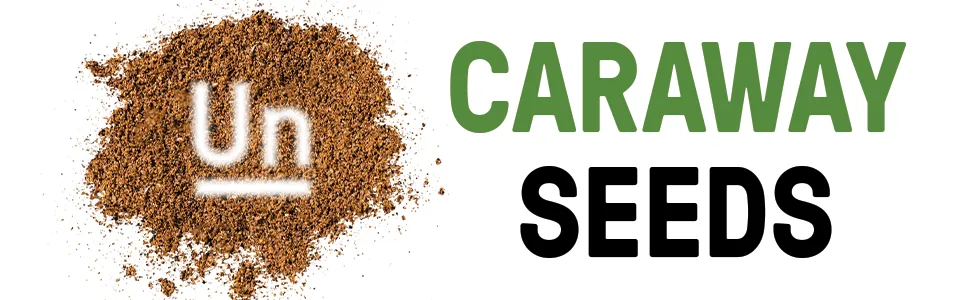 Ground Caraway Seeds By Unpretentious Baker, 2 lb, Highly Aromatic, Mild Anise Flavor 2 Pounds - product information 1