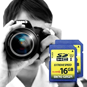 16GB Class 10 SDHC Flash Memory Card Standard Full Size SD Card USH-I U1 Trail Camera Memory Card by Micro Center (2 Pack) 16GB x 2 - Micro Center 16GB SDHC Flash Memory Card Class 10 USH-I U1 Speed Class for digital cameras