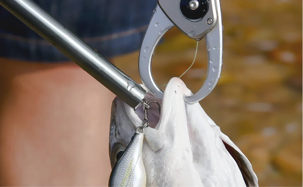 Booms Fishing R2 Hook Remover Squeeze-Out Fish Hook Tools 3 Colors Available 10inches Blue - R02 Hook Remover