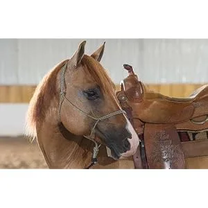 Weaver Leather Silvertip #95 Rope Halter Draft Black - product information 2